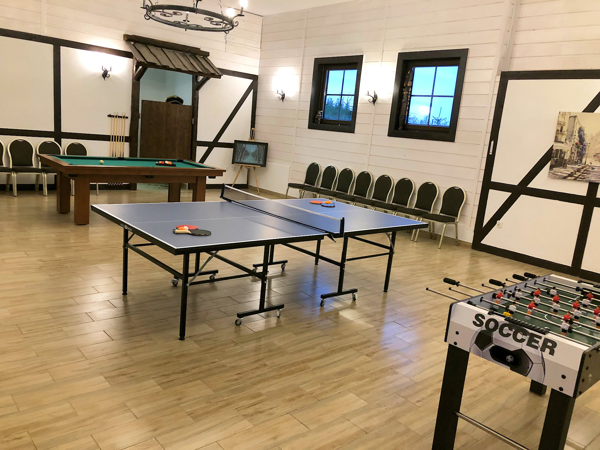 Sala gier w Posiadłości Olszówka - zdjęcie 2